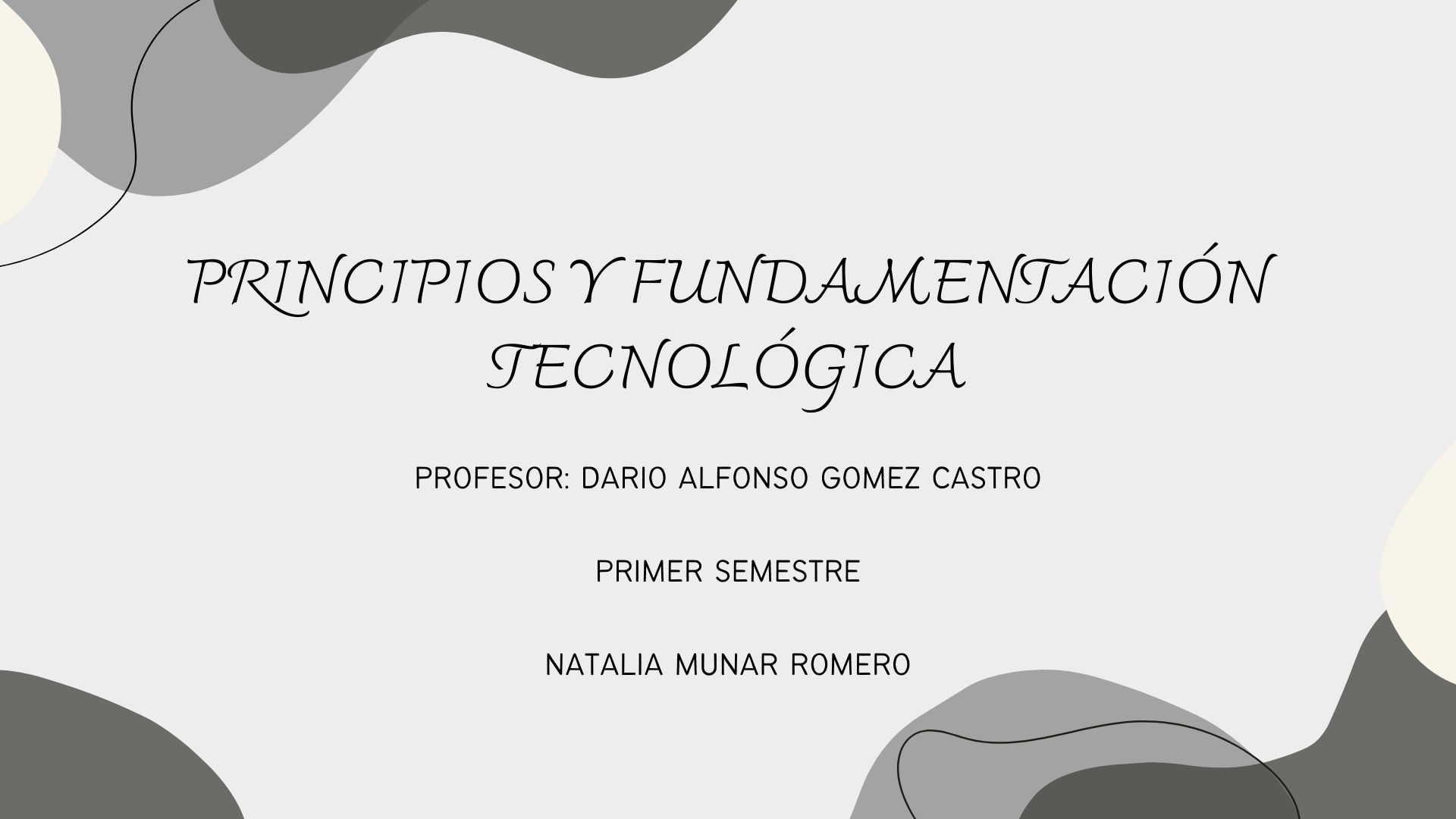 Portafolio Principios y fundamentación tecnológica-0