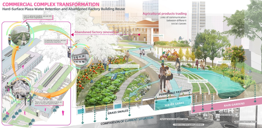 苏大风景园林研究生横扫2025ASLA三项大奖，6年11冠超越国际名校-228