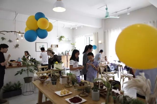 两个小女生，造了一间全镇上最文艺的花房，从此与花草为伴-151