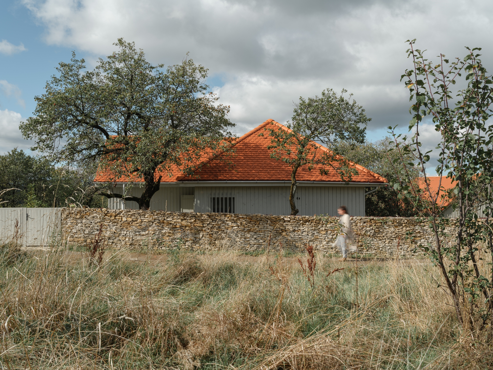 Recovery of a Country House and Barn / Vlad Sebastian Rusu and Studio 82-24
