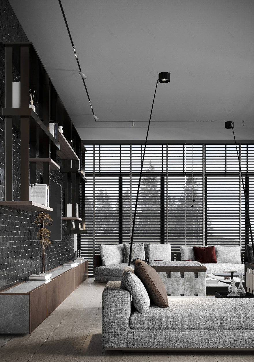 SN015 House in Losevo Design-11