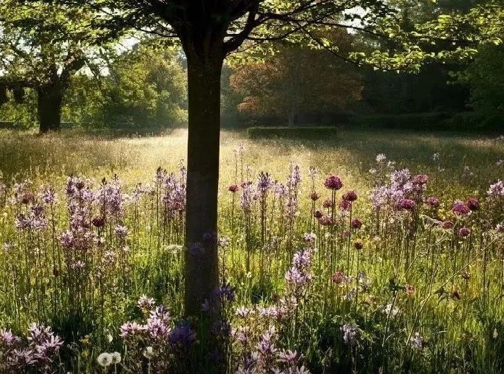 海格罗夫庄园 | 查尔斯王子的世外桃源-252