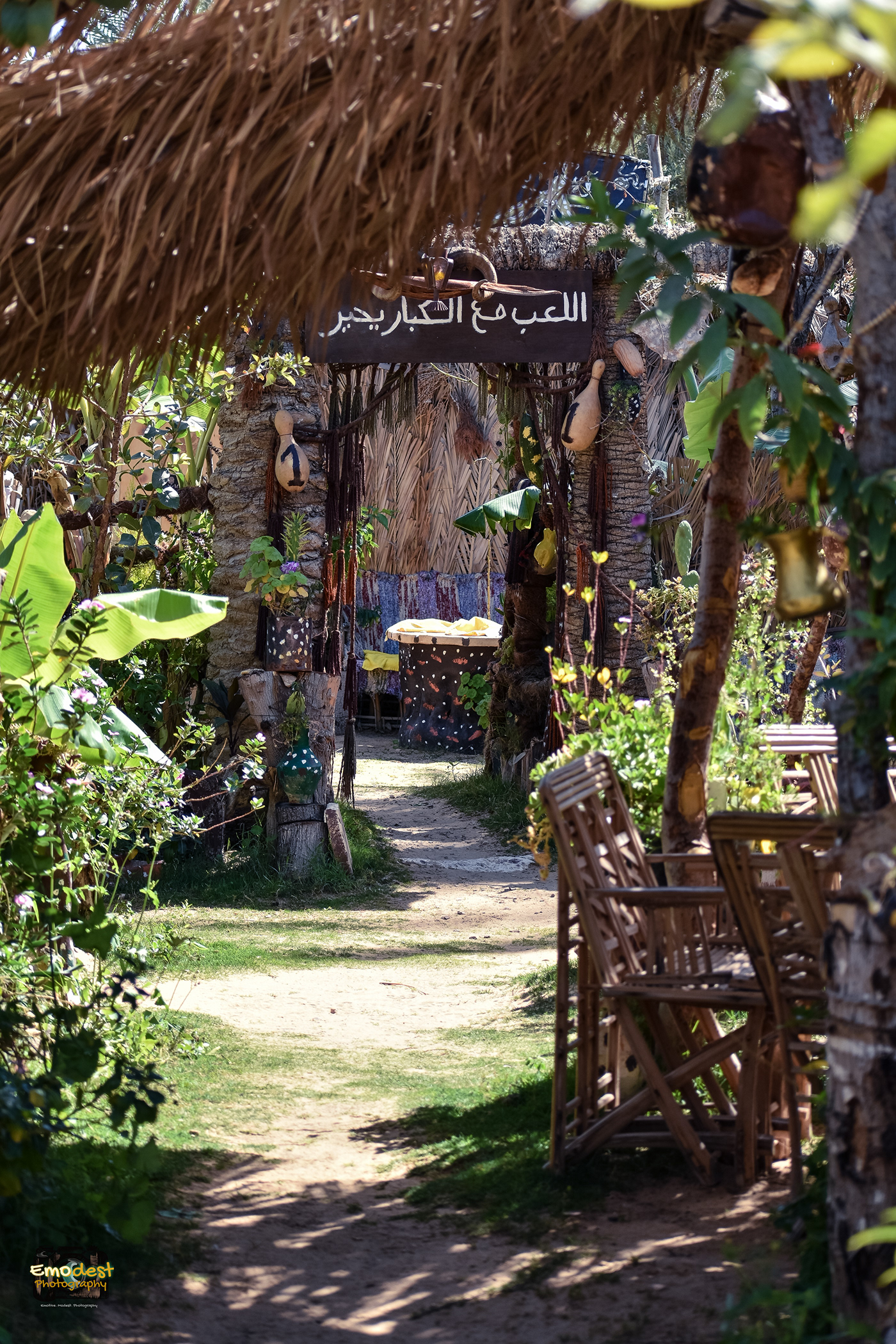 Camp Outdoor - Siwa Oasis-7