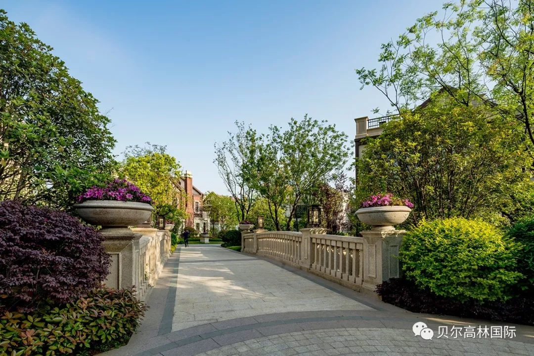 合肥新华•御湖庄园-91