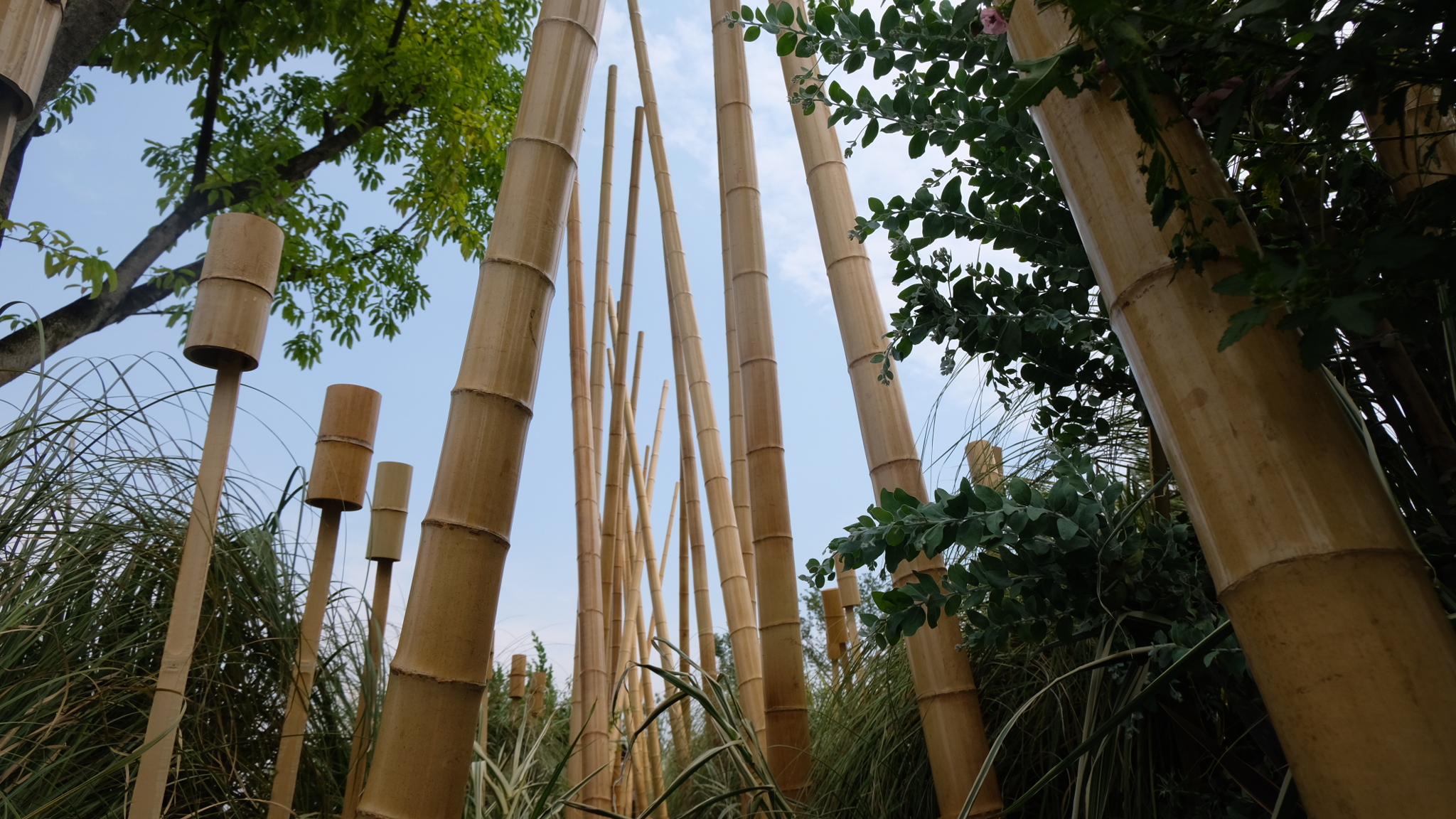 竹林丨中国成都丨Atelier Folie(北林风景建筑研究中心)-22