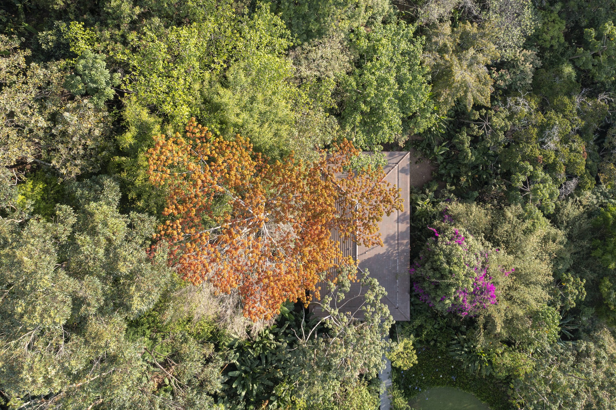 丛林健身房,空洞空虚空白丨哥斯达黎加圣何塞-24