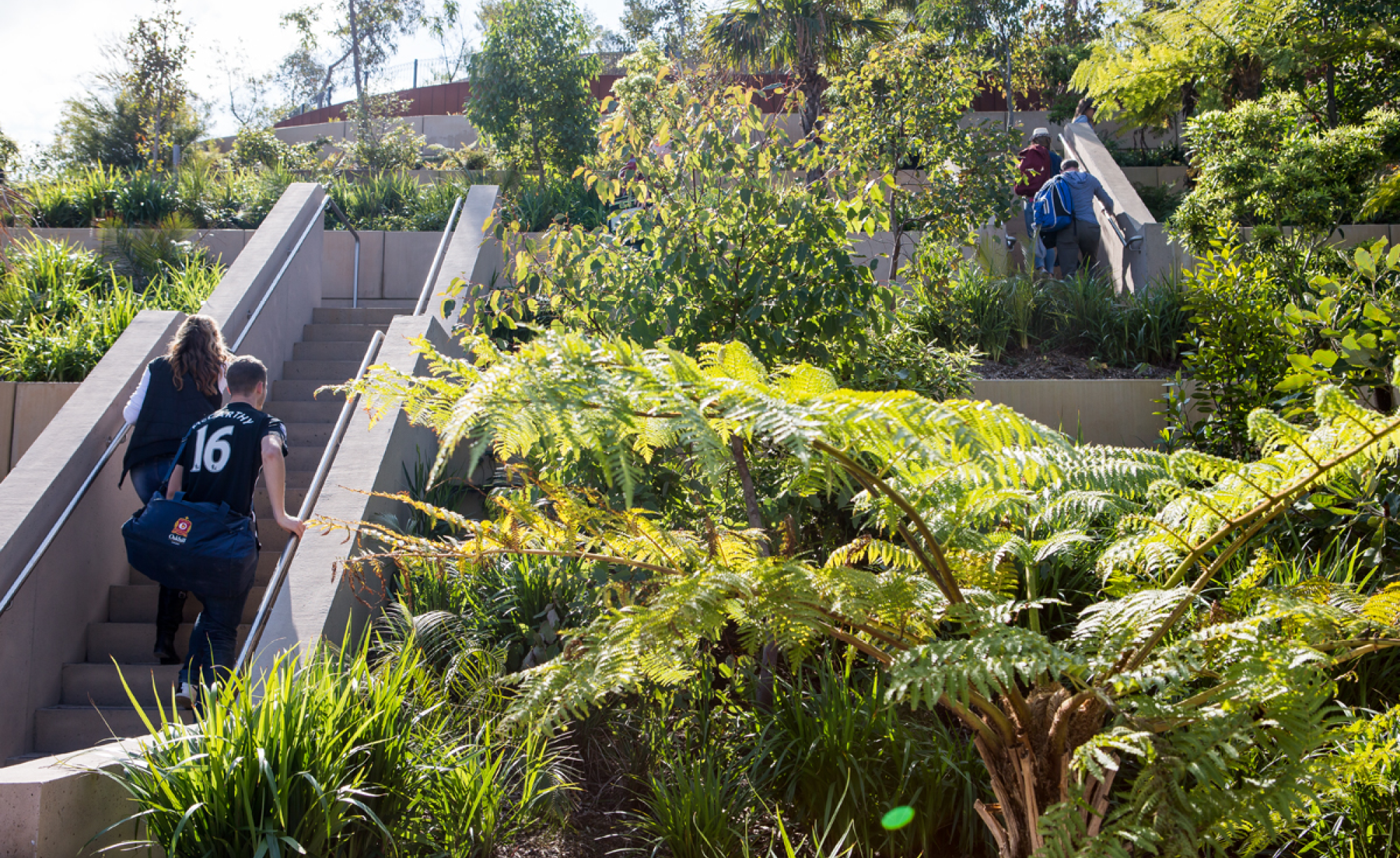 Barangaroo Reserve — PWP-10