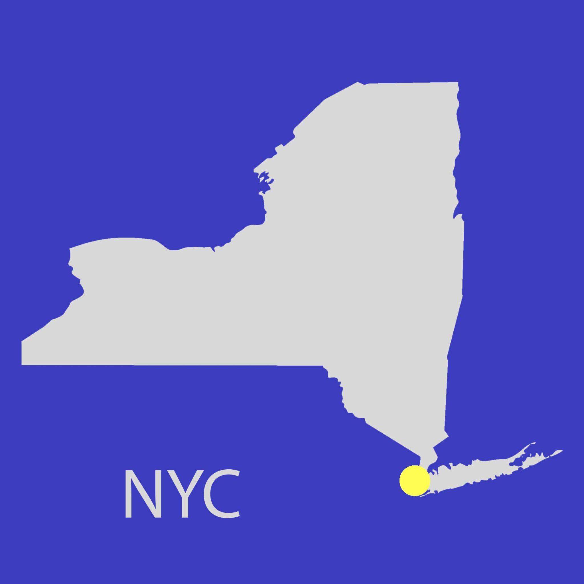 Local snapshot - New York | Woods Bagot-0