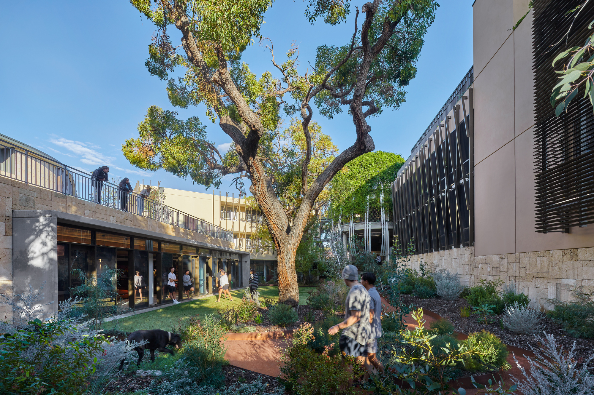 St. Catherine’s College Indigenous Student Accommodation / Wilson Architects-20