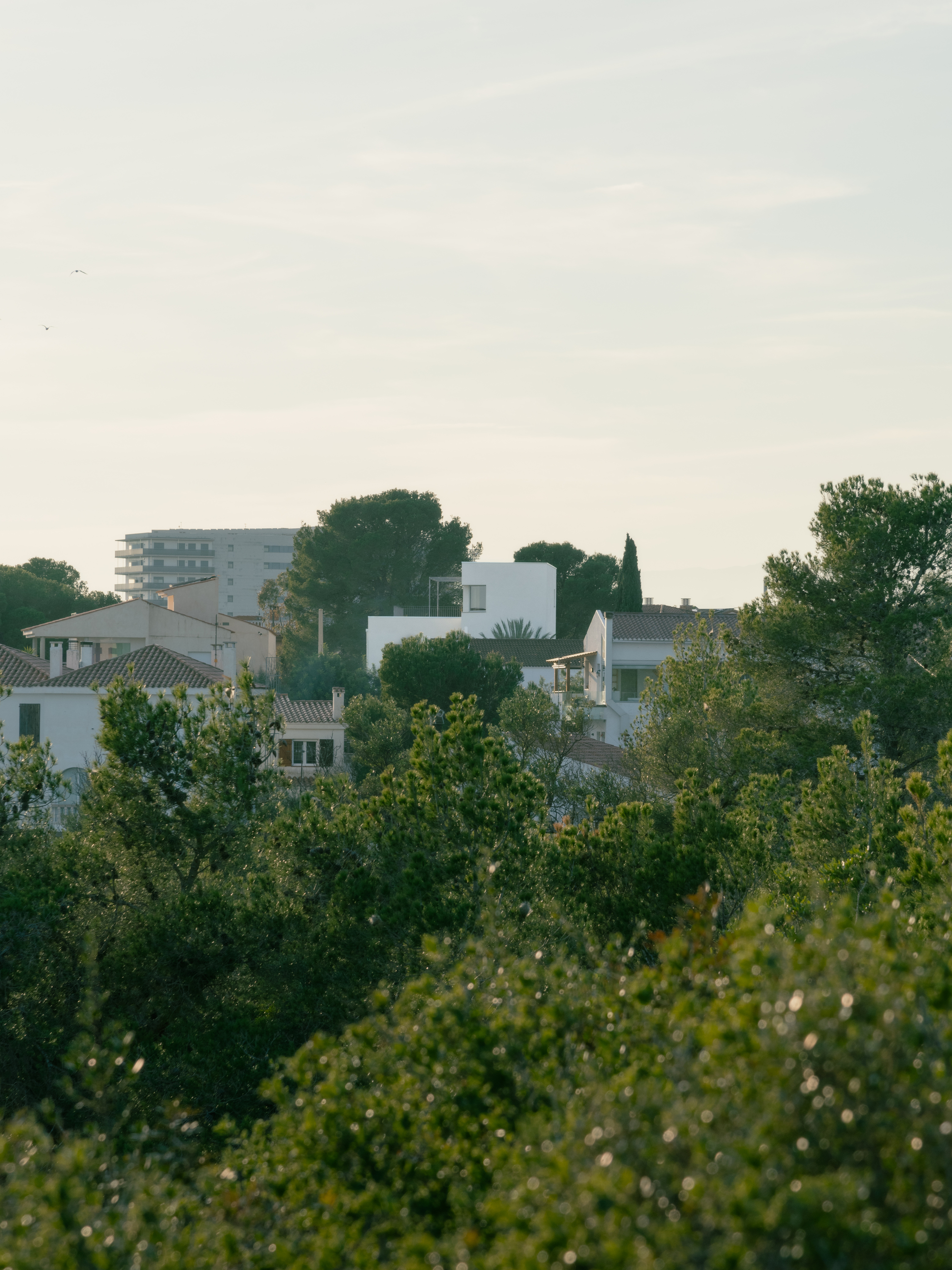 TD 别墅丨西班牙丨Skye Maunsell Studio-30