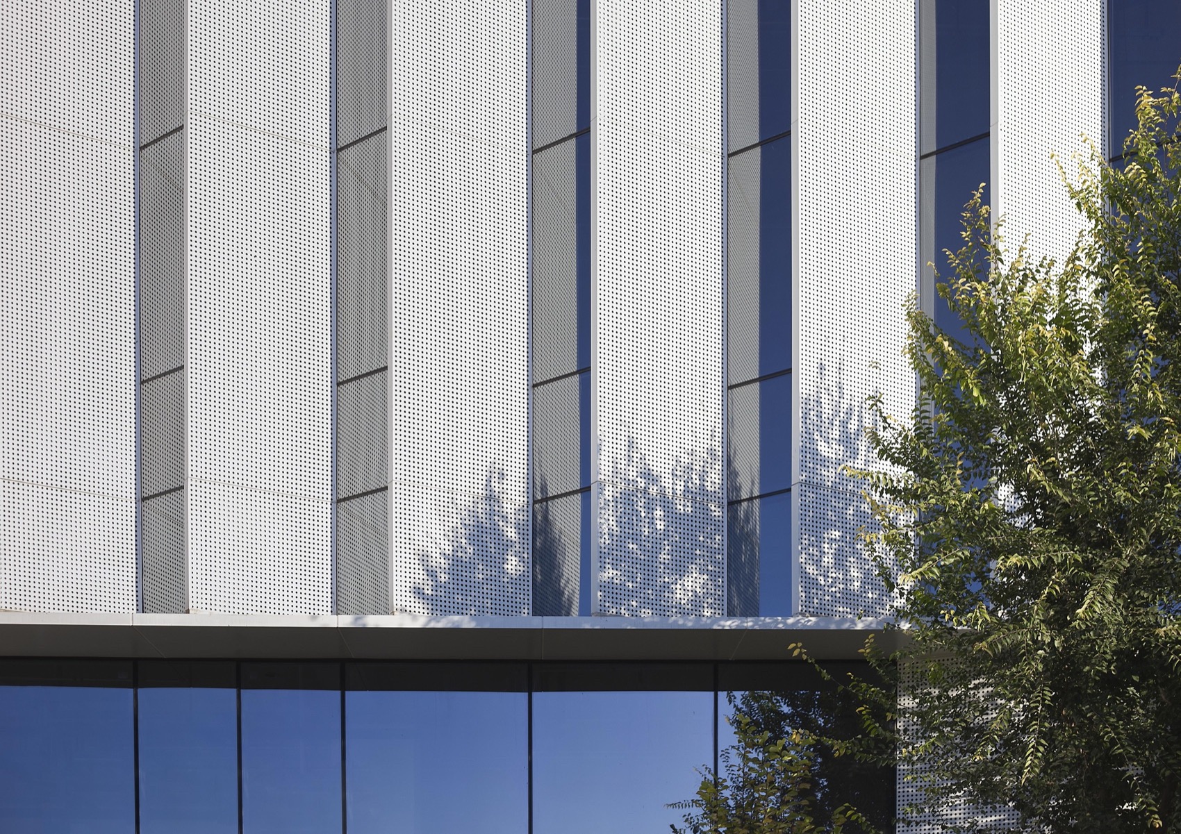 北京亦庄细胞治疗研发中试基地丨中国北京丨北京市工业设计研究院有限公司-70