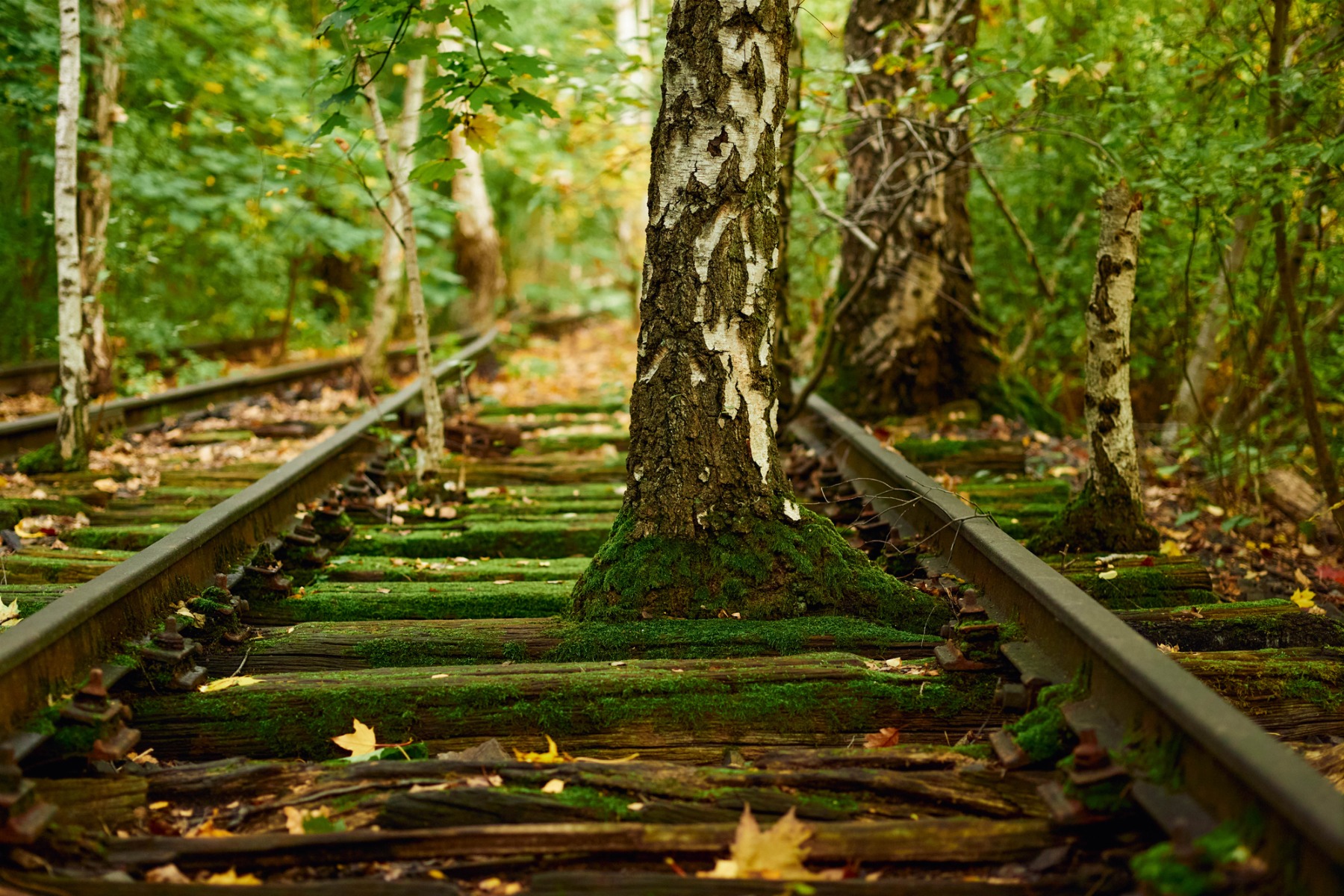 柏林南场地自然公园丨德国柏林-2