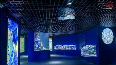 
海洋馆展示工程（海洋区） -13