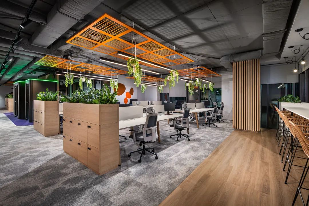 Imperial Brands Offices – Sofia，保加利亚-20