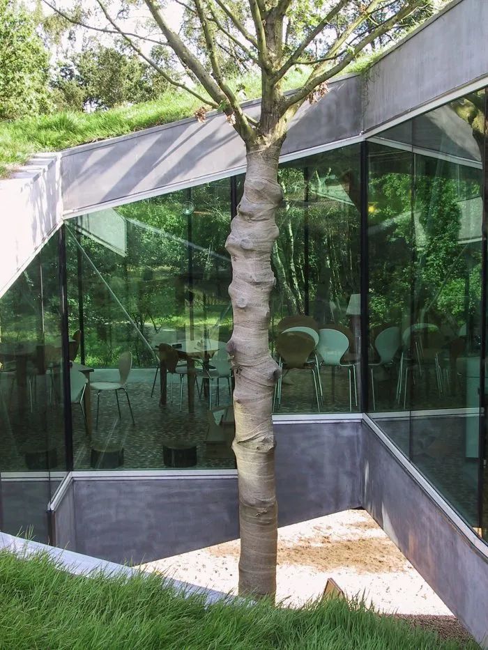 荷兰 Veluwe 国家公园茶馆丨SEARCH-27