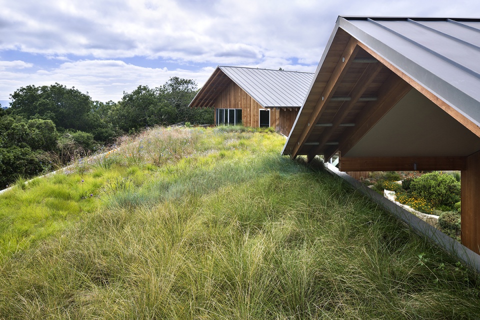 加州海岸岭住宅丨中国金山丨Scott Lewis Landscape Architecture-29