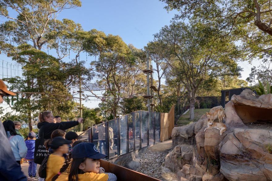 丨澳大利亚新南威尔士丨Lahz Nimmo Architects-12