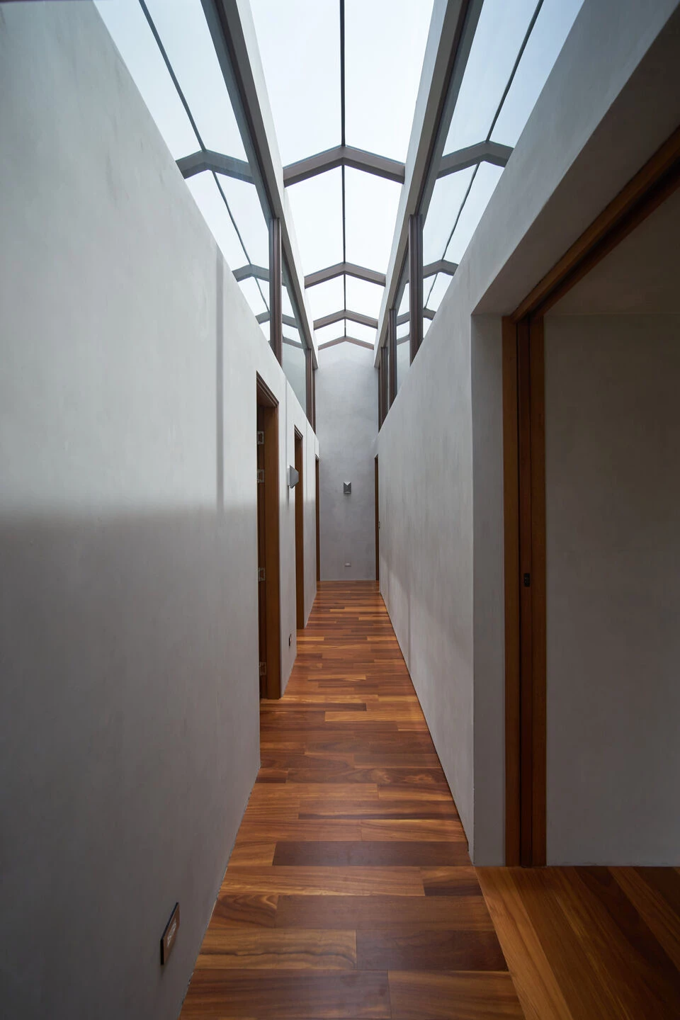 M 庄园丨哥斯达黎加丨ICESA-13