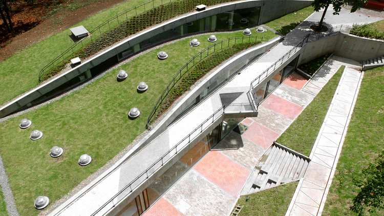 波哥大植物园植物标本馆-14