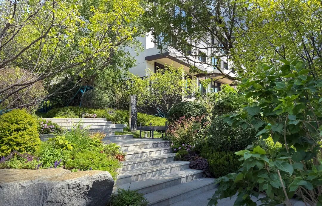 沈阳风景园林股份有限公司施工作品展I越秀·沈阳岄湖郡七期项目园建绿化工程-37