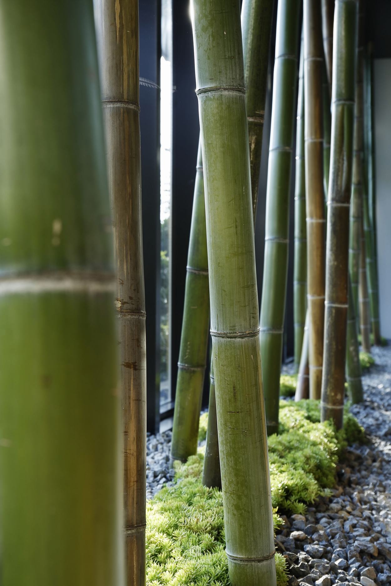 筑详装饰设计--康桥悦城生活美学生机馆-5