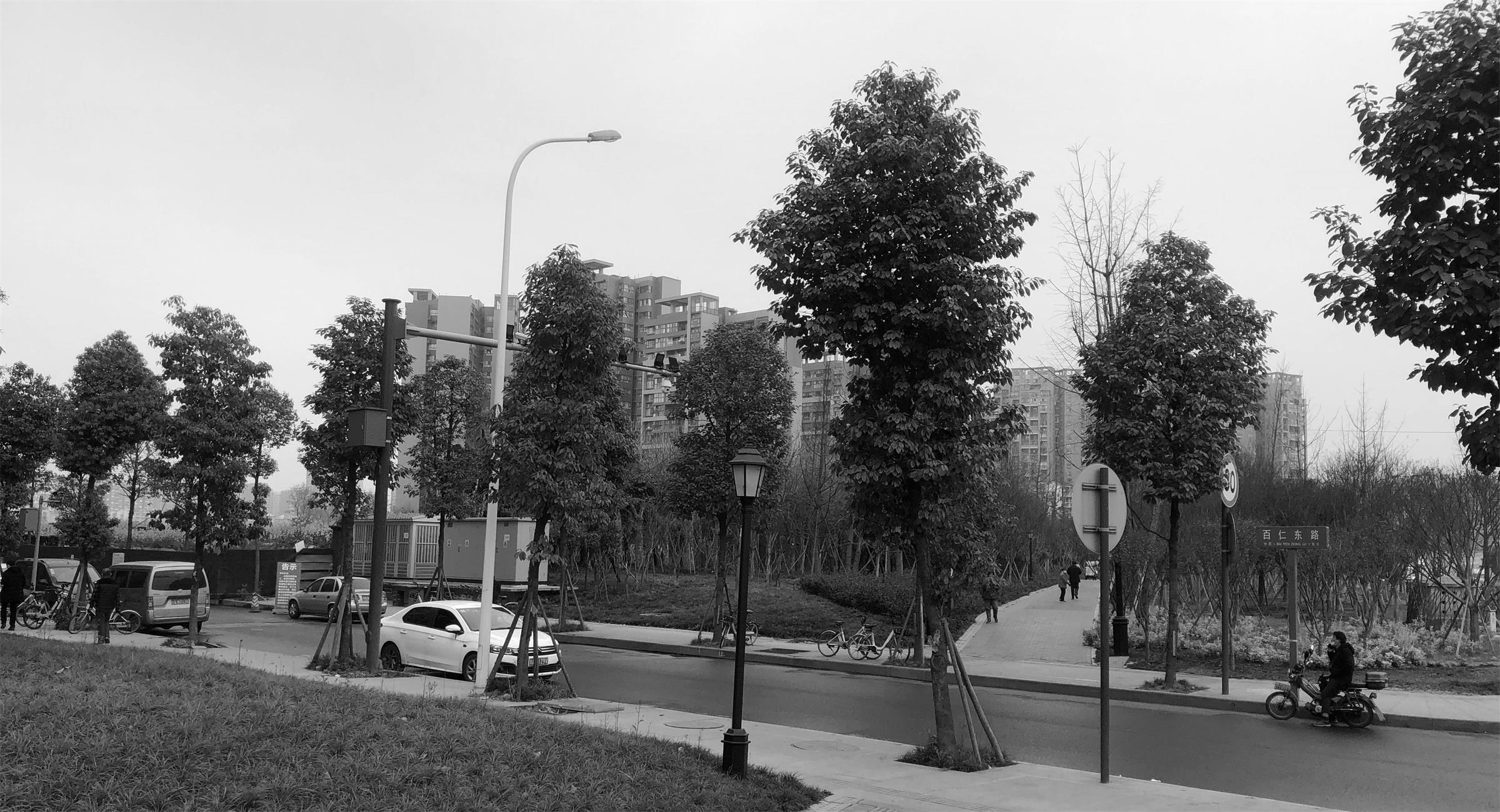 中国铁建·西派金沙丨中国成都-16