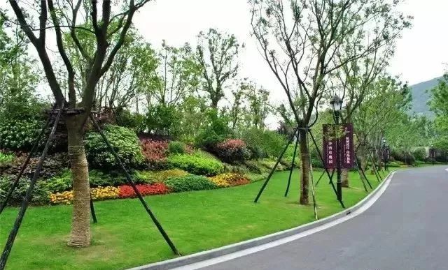 园林景观植物绿化设计方法解析-65