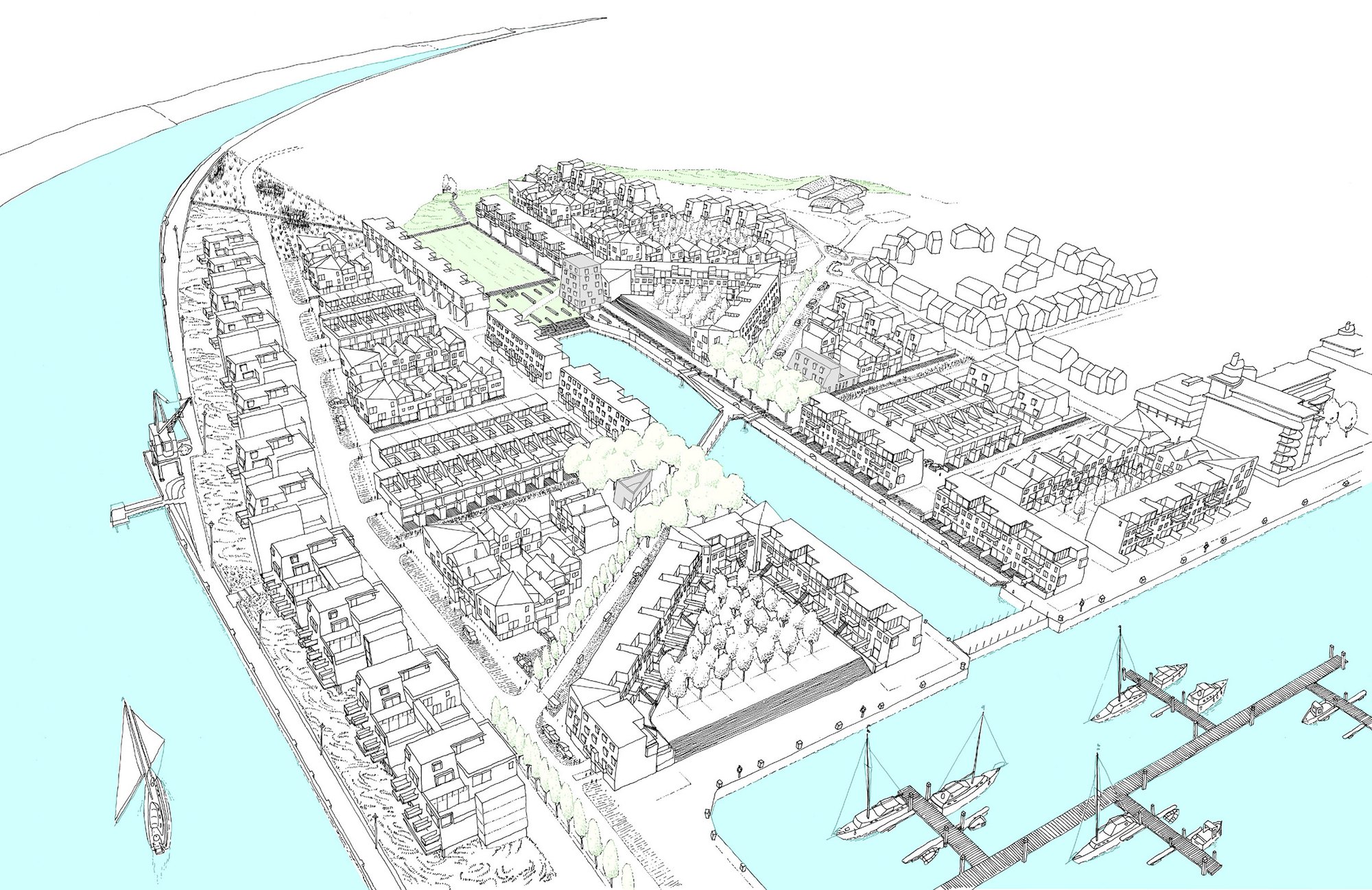 丨Henley Halebrown-4