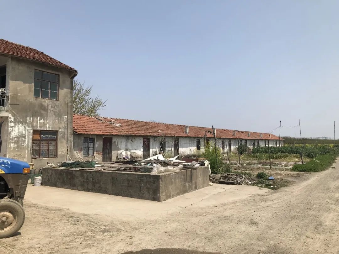 黄金晒谷场 · 俞挺打造凡人安乐乡的农耕记忆丨中国上海丨Wutopia Lab（建筑,景观）-7