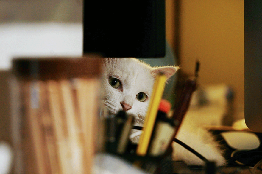 越秀地产·品秀星图样板间丨中国广州丨JLa 闳雅堂 Vermillion Gift-17