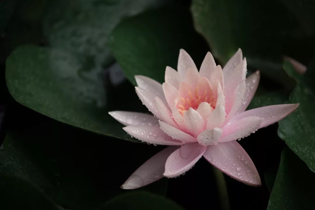 老别墅新生活,传递家人间爱的空间-69