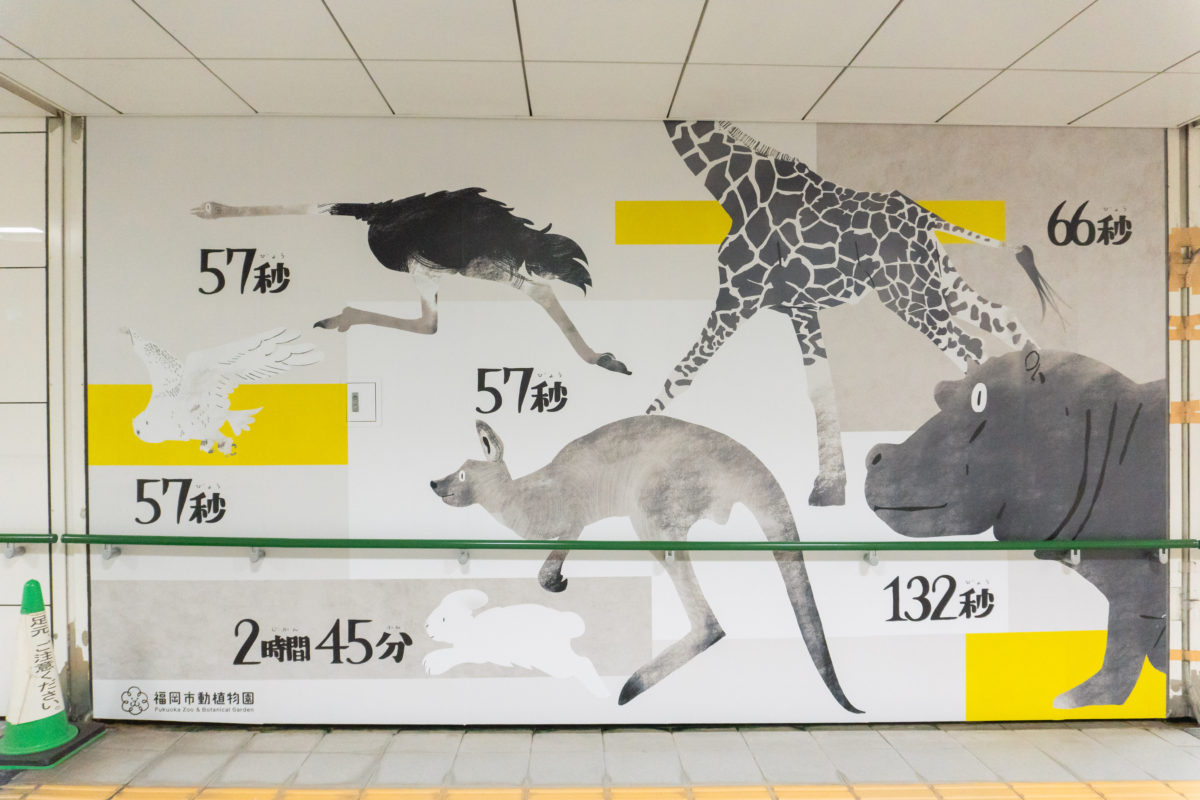 薬院大通駅  福岡市動植物園特別装飾丨anno lab-29
