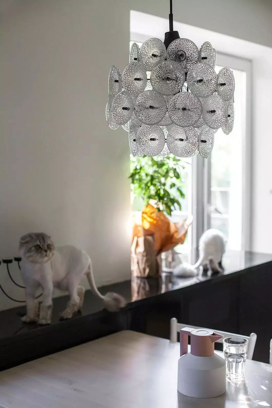 小户型设计 | 简约自然,五脏俱全-23