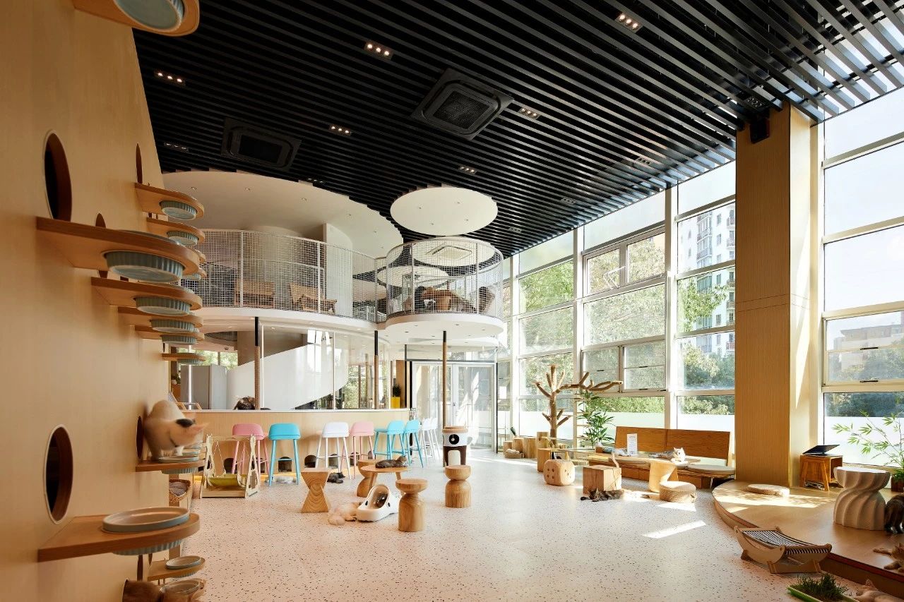 姥姥家的猫丨中国北京丨琳禾（北京）空间设计有限公司-9