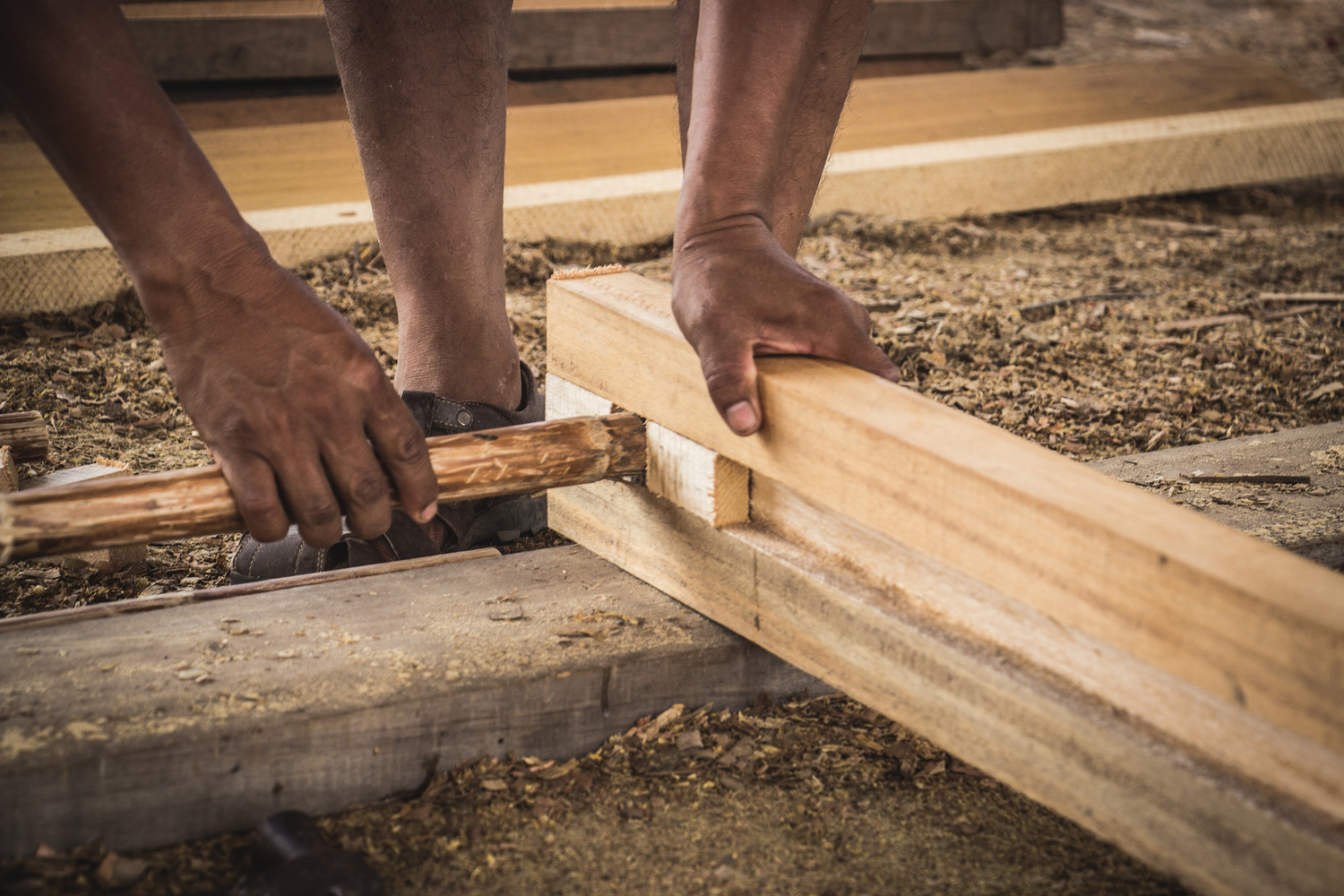 Jerusalen de Miñaro Primary School  Semillas-68