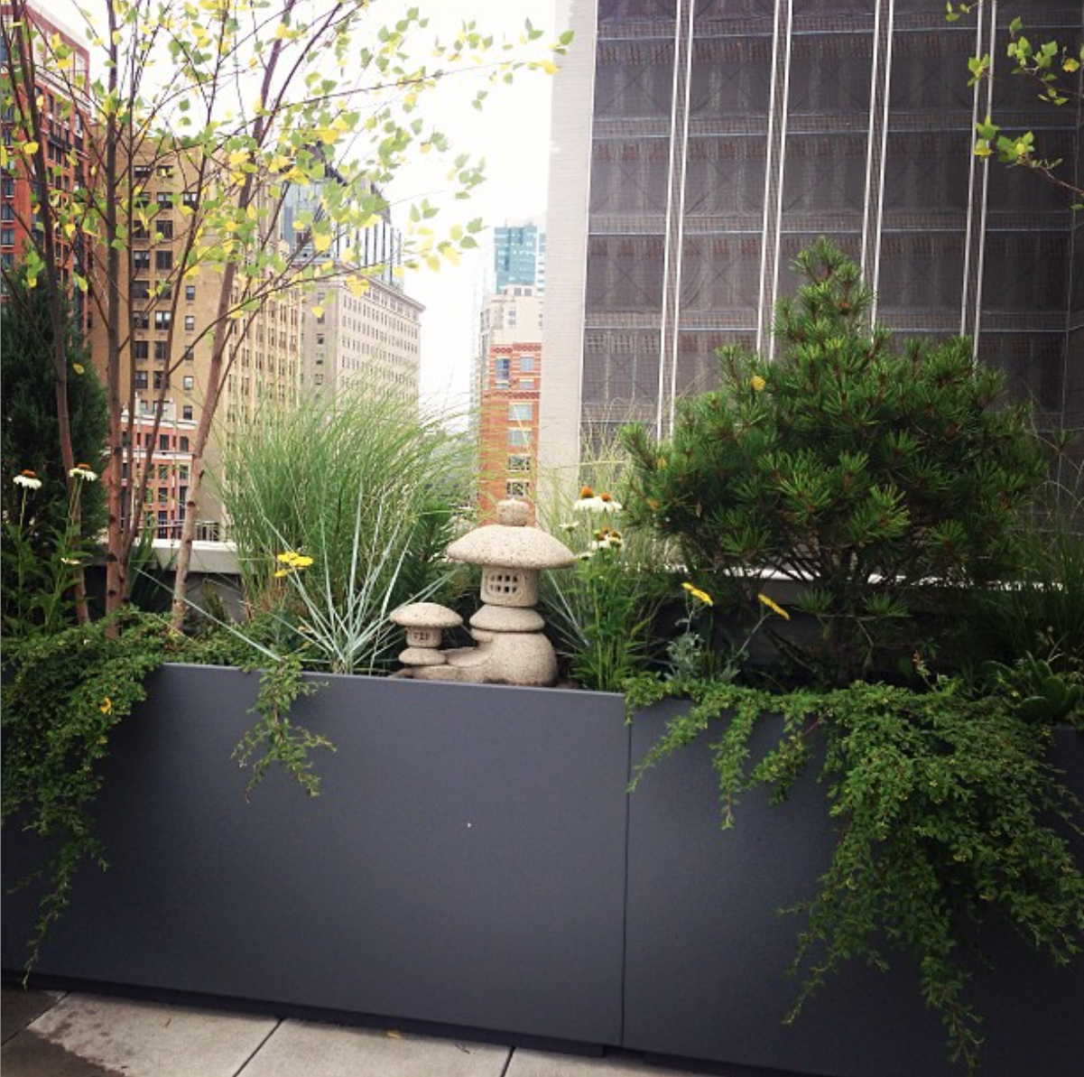 太平洋街排屋丨Alive Structures-3