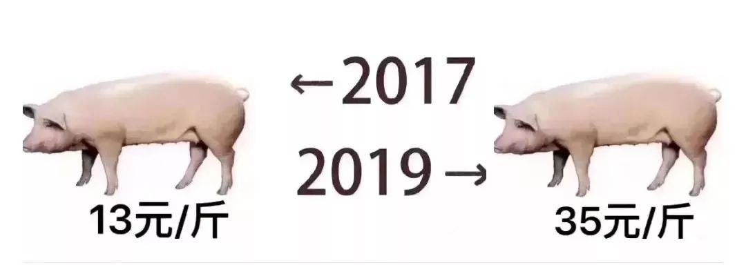 博洛尼新年保价活动 | 用 19 年价格住 20 年新家-16