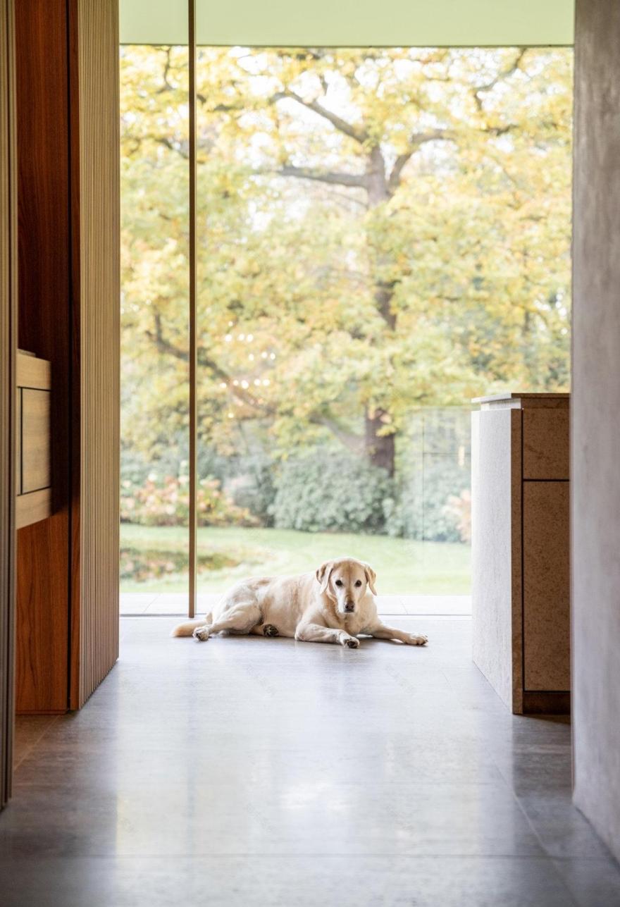 沃尔特之家丨德国丨Dieter Vander Velpen 建筑事务所-10