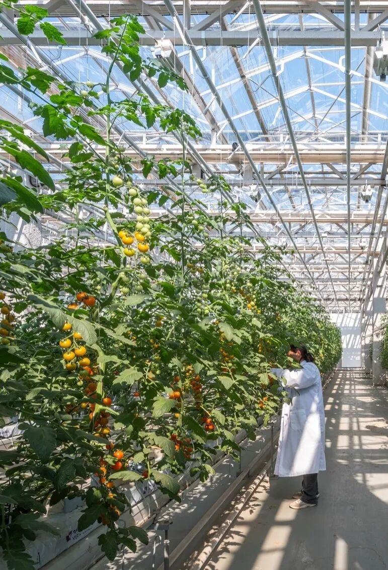 vanBergenKolpa在衡水打造水晶宫农场-6