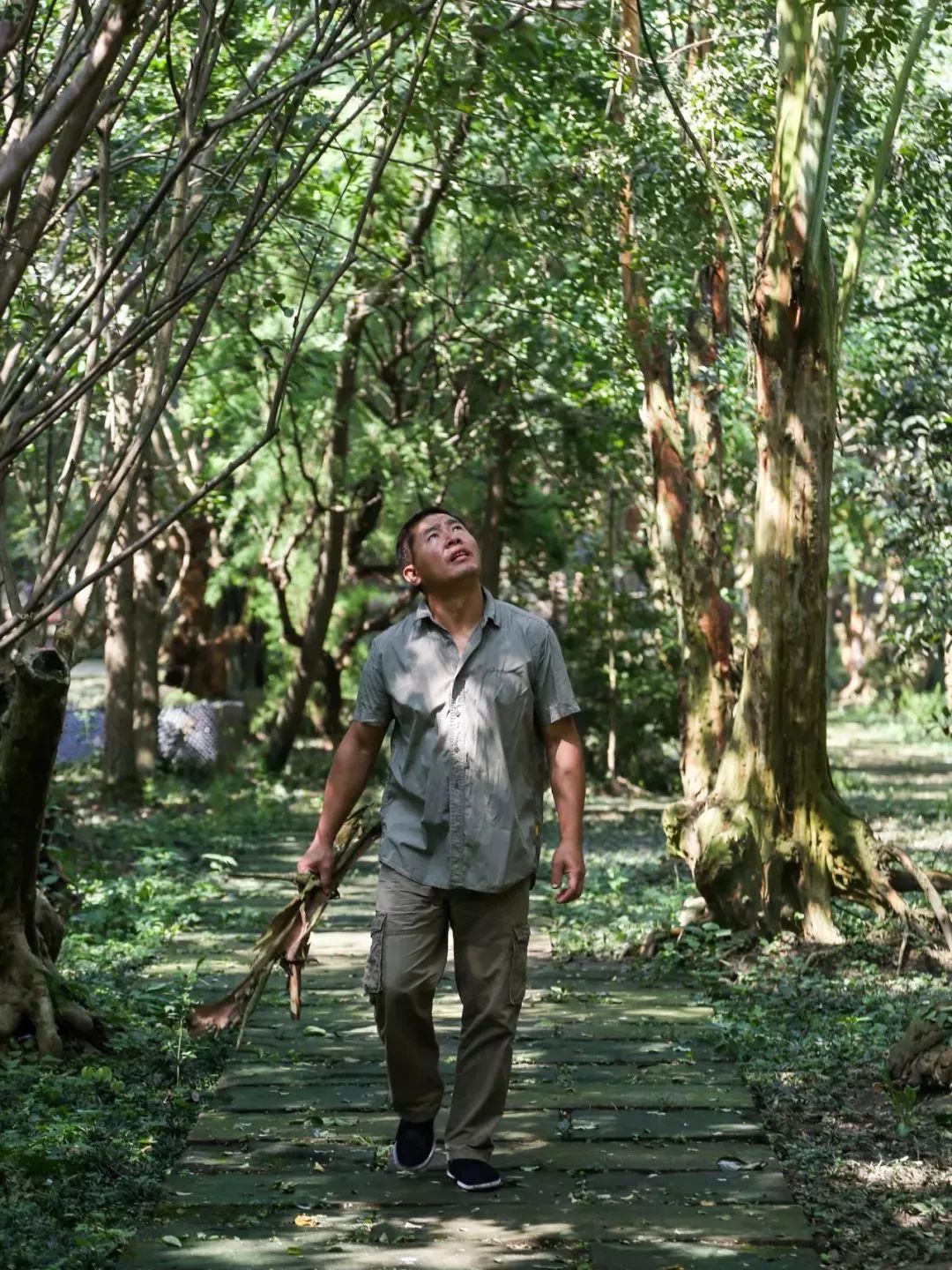 废弃庄园变鹭鸟天堂 | 400㎡中式宅院与 30 亩森林的共生设计-38