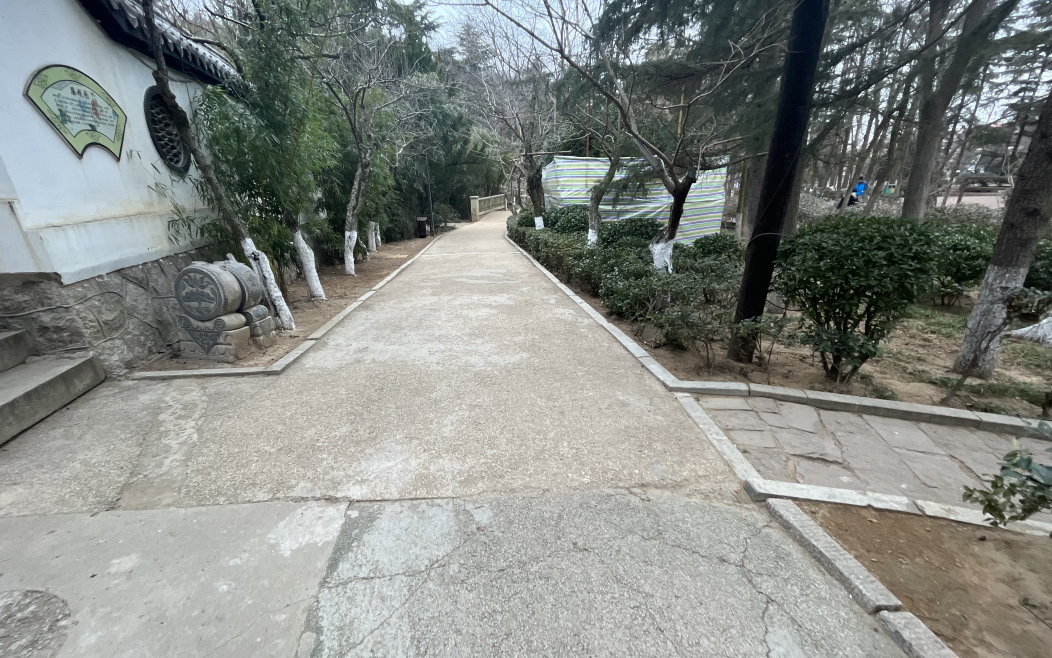 百姓乐园：榉林山焕新归来，悦享自然人文之美-14