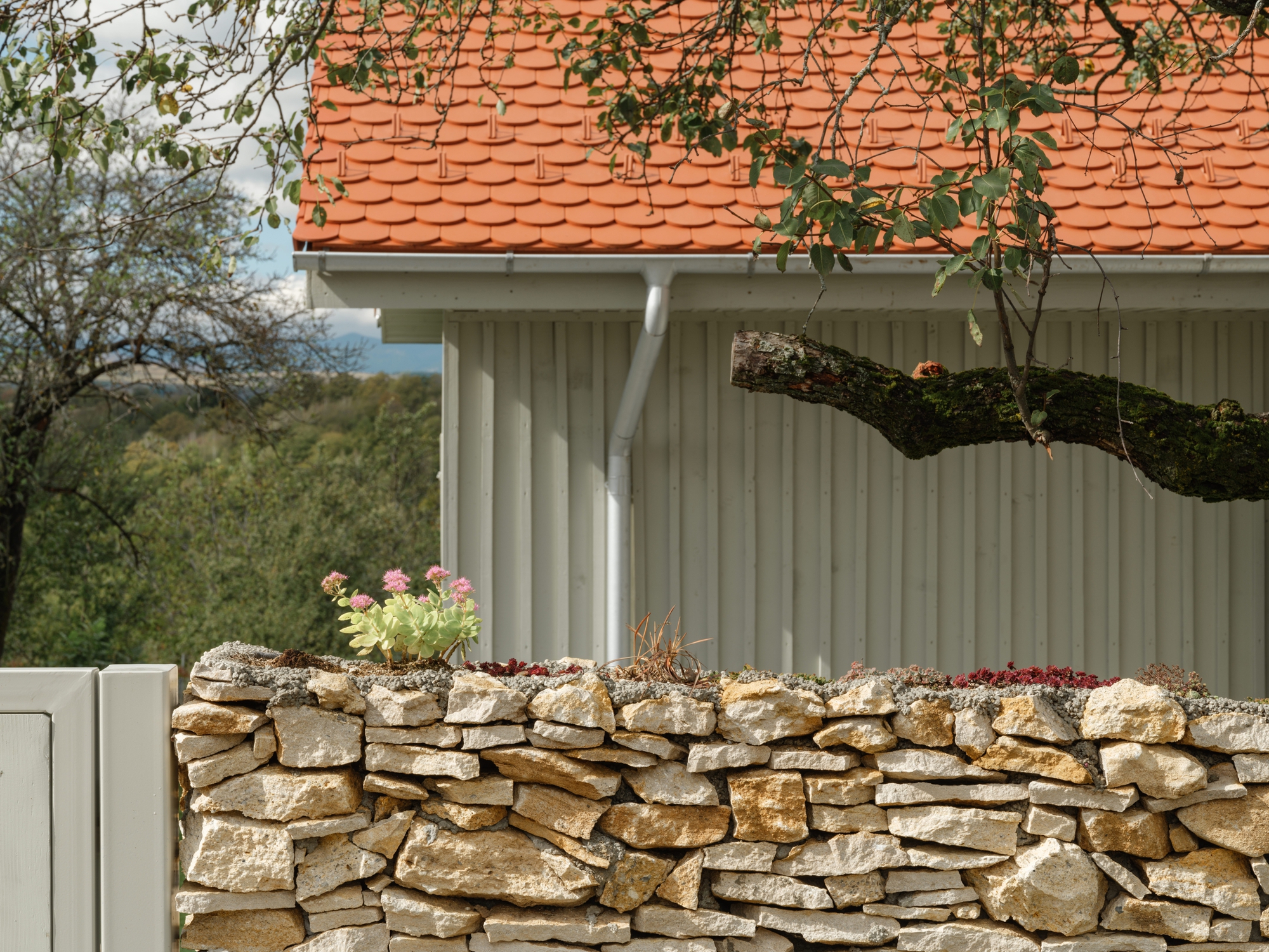 Recovery of a Country House and Barn / Vlad Sebastian Rusu and Studio 82-32