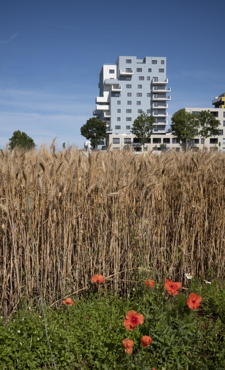 GERNER GERNER PLUS丨GOLD - Wohnbau Goldberg丨奥地利-10