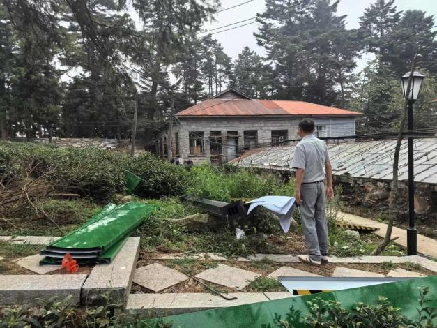 庐山植物园基础设施提升改造项目圆满竣工！-68