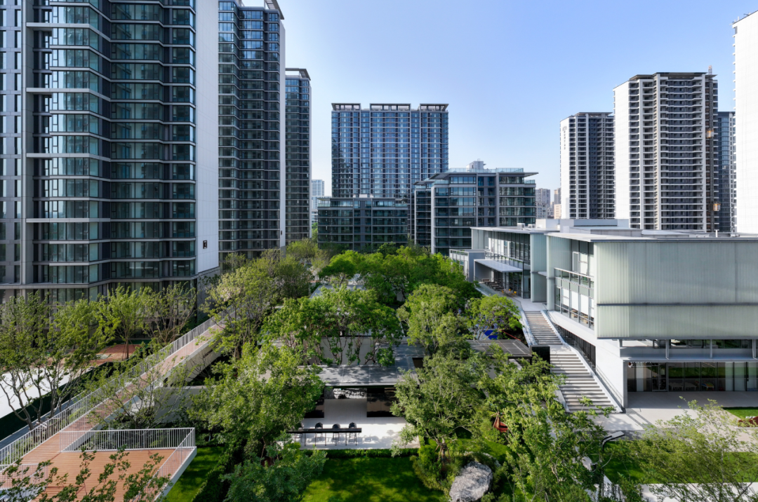 金沙操盘 | 成功经验：从河南火到全国各地（实地考察+主题演讲）-2