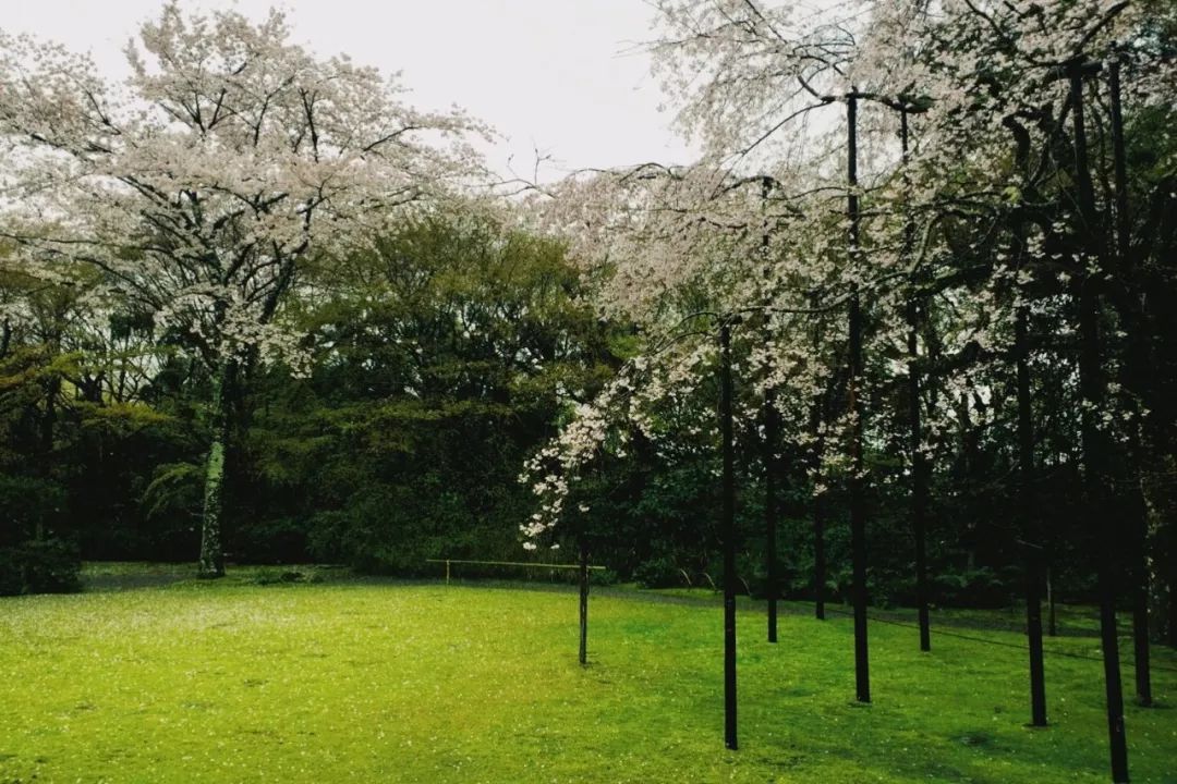 京都禅意漫步 | 私人庭园与古刹的宁静时光-12