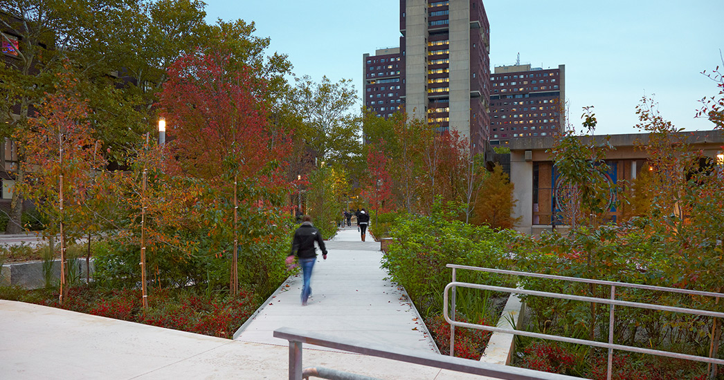 马萨诸塞西南大道改造丨意大利马萨-4