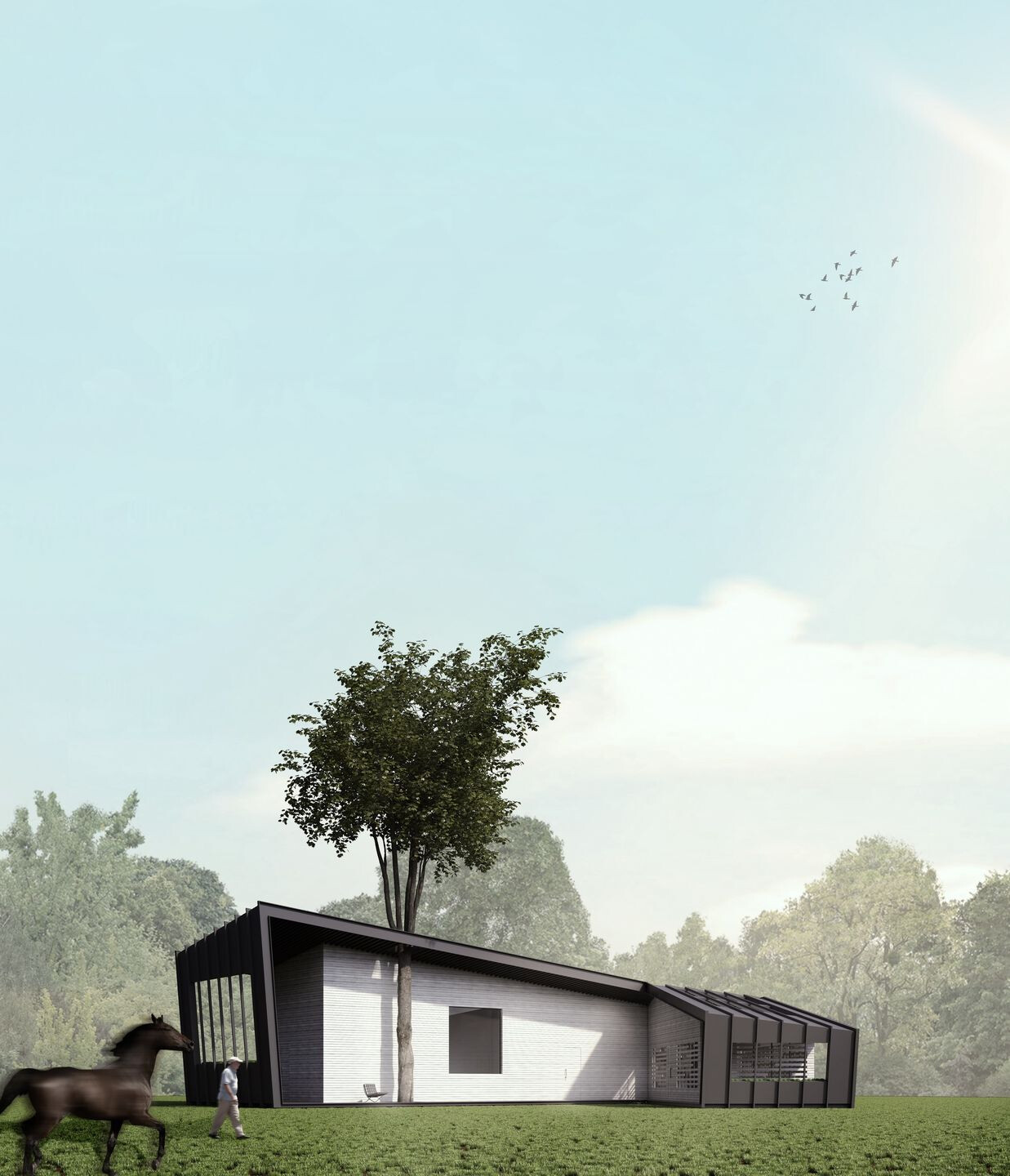 三角形的独立别墅 · Heram Architects 的绿色温室设计-9