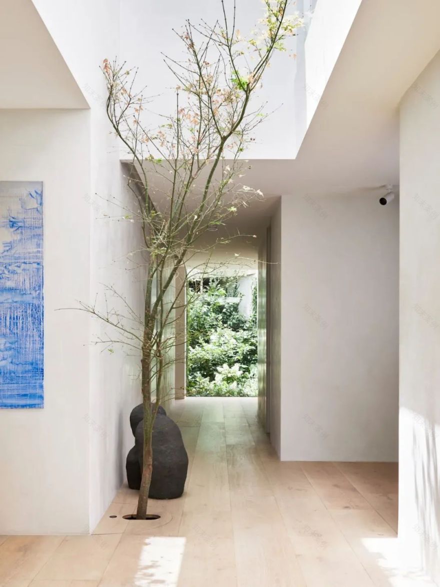 河畔别墅豪宅丨澳大利亚墨尔本丨Susi Leeton Architects+Interiors-13