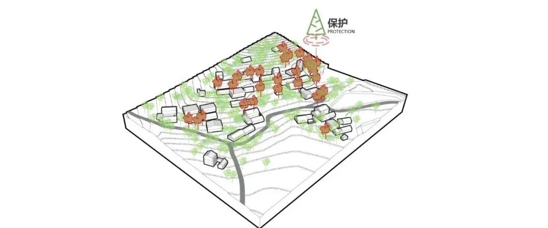 暮色分星野-星野蓬境精品民宿-39